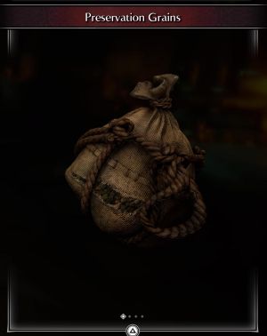Preservation Grains * 10 -(DEMON'S SOULS REMAKE)