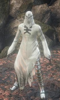 Painting Guardian Set-(DarkSouls3)