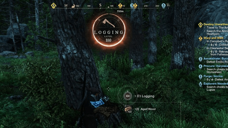 The Fastest Way to Level Up Logging Skills in New World | FarmGolds