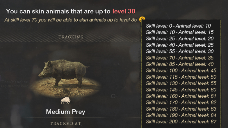 Leveling Up Tracking & Skinning