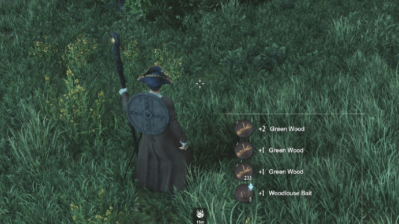 Where to Get Woodlouse Bait in New World