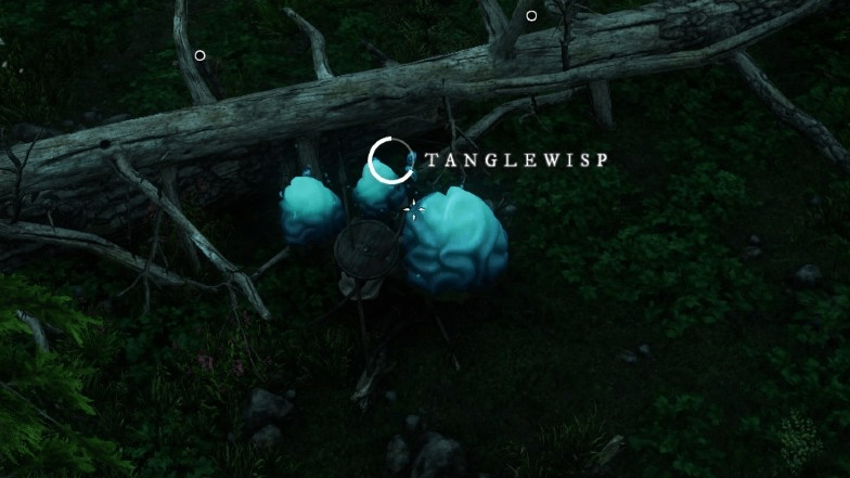 Where to Get Tanglewisps in New World