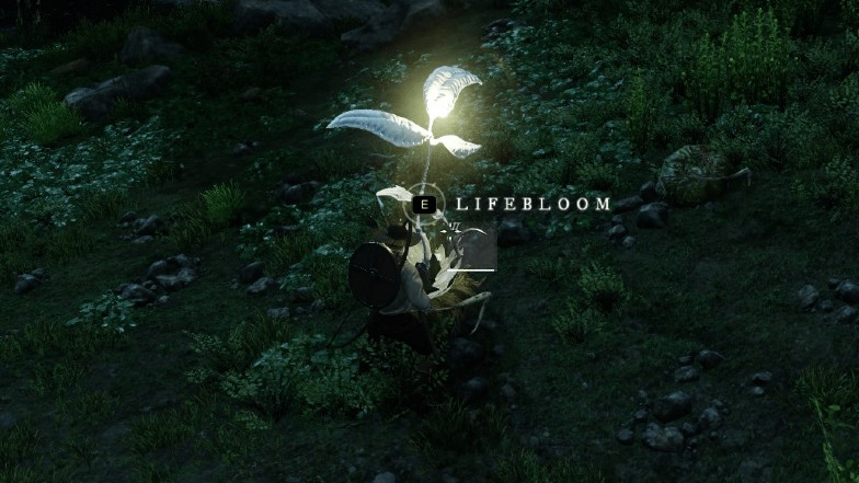 Where to Find Lifeblooms in New World