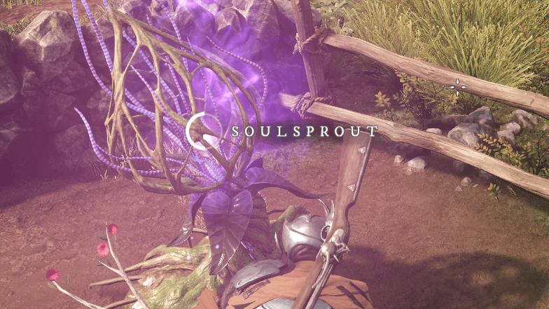 Where to Get Soul Motes in New World