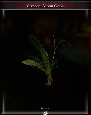 Crescent Moon Grass * 50 -(DEMON'S SOULS REMAKE)