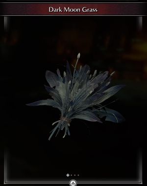 Dark Moon Grass * 10 -(DEMON'S SOULS REMAKE)
