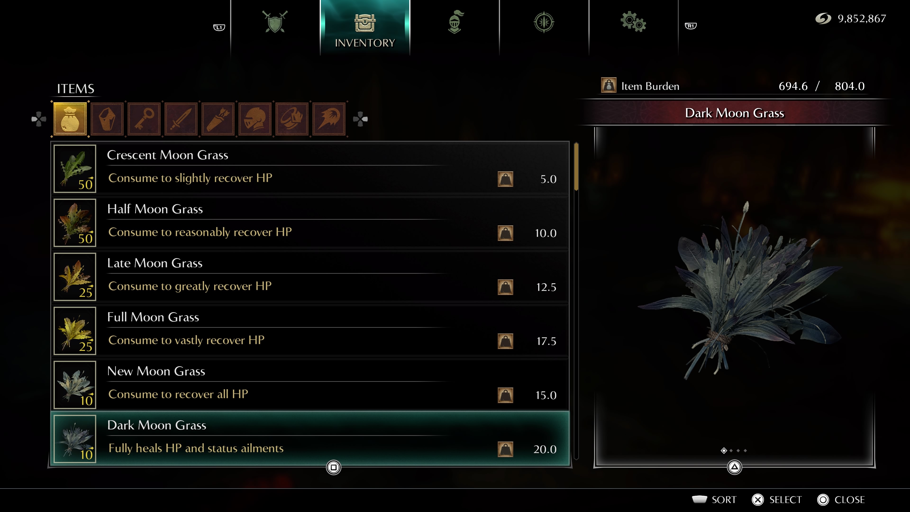 Dark Moon Grass.jpg