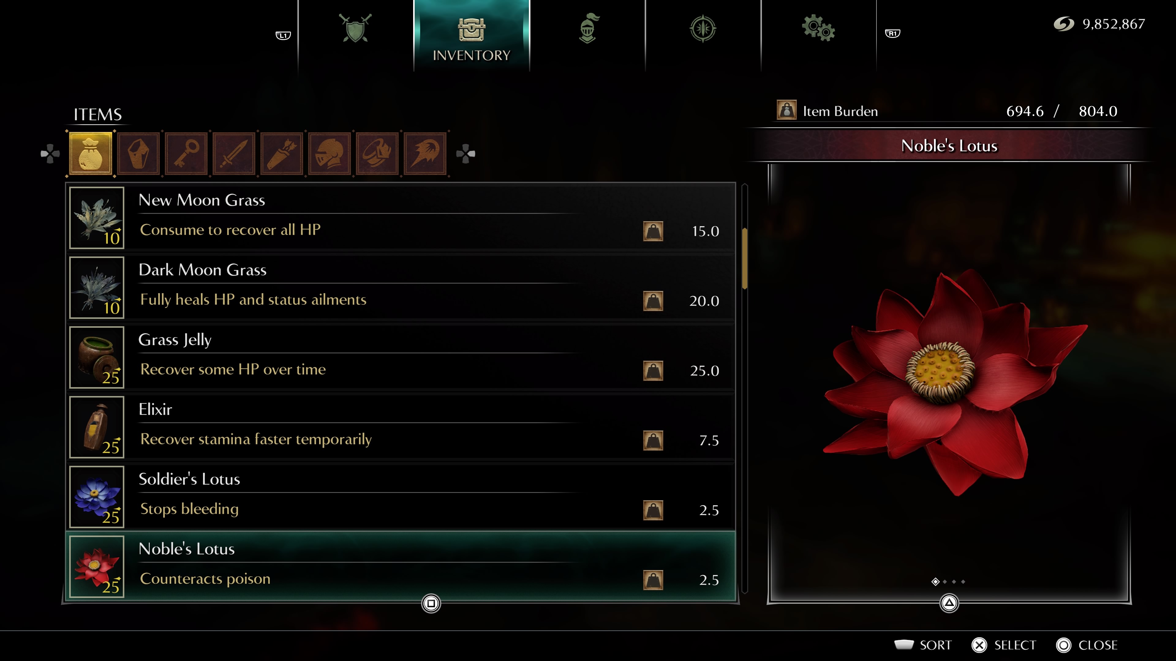 Noble's Lotus.jpg
