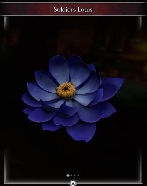 Soldier's Lotus * 25 -(DEMON'S SOULS REMAKE)