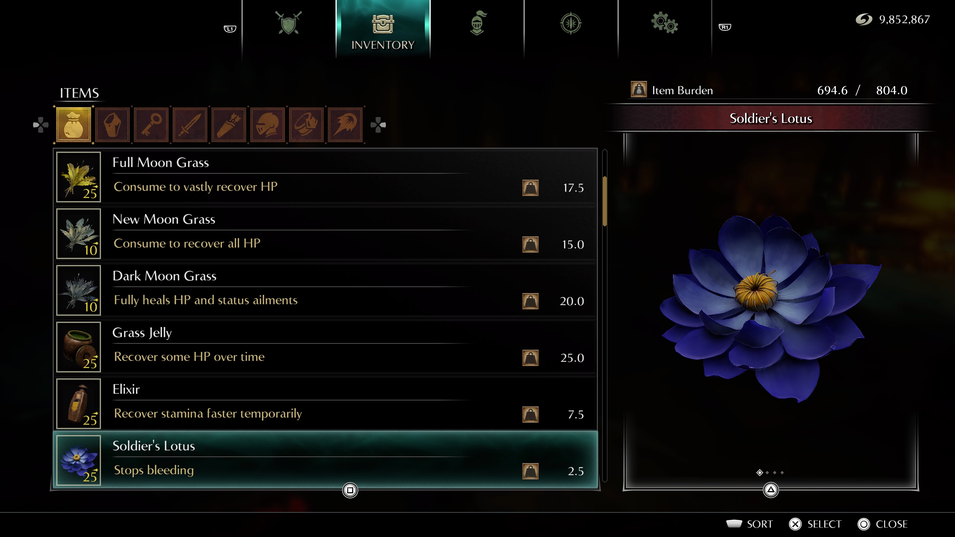 Soldier's Lotus.jpg