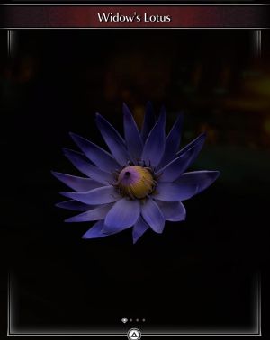 Widow's Lotus * 25 -(DEMON'S SOULS REMAKE)