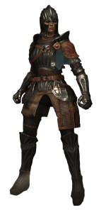 Fluted Set -(DEMON'S SOULS REMAKE)