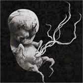 VESTIGE SEED - LotF