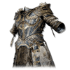 ABIDING DEFENDER ARMOUR - LotF