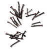 CROWN OF NAILS - LotF