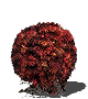 Bloodred Moss Clump-(MAX)-(DarkSouls1)