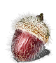 Egg Vermifuge-(MAX)-(DarkSouls1)