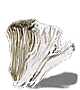 Elizabeth's Mushroom-(MAX)-(DarkSouls1)