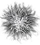 Fire Keeper Soul * 1 -(DarkSouls1)