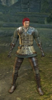 Hunter Set-(MAX UPGRADED)-(DarkSouls1)