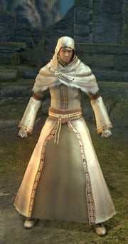 Maiden Set-(MAX UPGRADED)-(DarkSouls1)