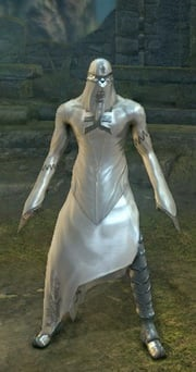 Painting Guardian Set-(MAX UPGRADED)-(DarkSouls1)
