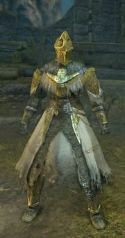 Paladin Set-(MAX UPGRADED)-(DarkSouls1)