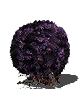Purple Moss Clump-(MAX)-(DarkSouls1)