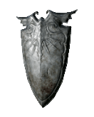 Archdrake Shield-(MAX UPGRADED)-(DarkSouls2)