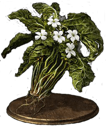 Budding Green Blossom*10-(DarkSouls3)