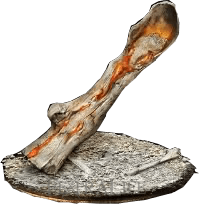 Homeward Bone*99-(DarkSouls3)