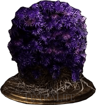 Purple Moss Clump*99-(DarkSouls3)
