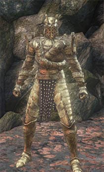 Armor of Favor Set-(DarkSouls3)