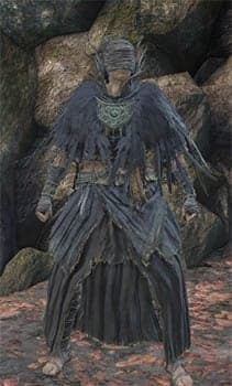 Cornyx's Set-(DarkSouls3)