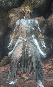 Pontiff Knight Set-(DarkSouls3)