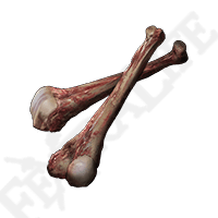 HEFTY BEAST BONE *999-(Elden Ring)