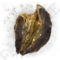 HOLYPROOF DRIED LIVER-(Elden Ring)