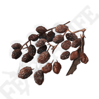 ROWA RAISIN-(Elden Ring)
