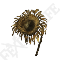 TARNISHED GOLDEN SUNFLOWER *999-(Elden Ring)