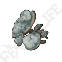 TOXIC MUSHROOM *999-(Elden Ring)